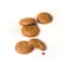 Homefree Cookies Organic Ginger Snap Mini Gluten Free Grab & Go 0.95 oz., PK10 LGFOMGC10 - alternate 2